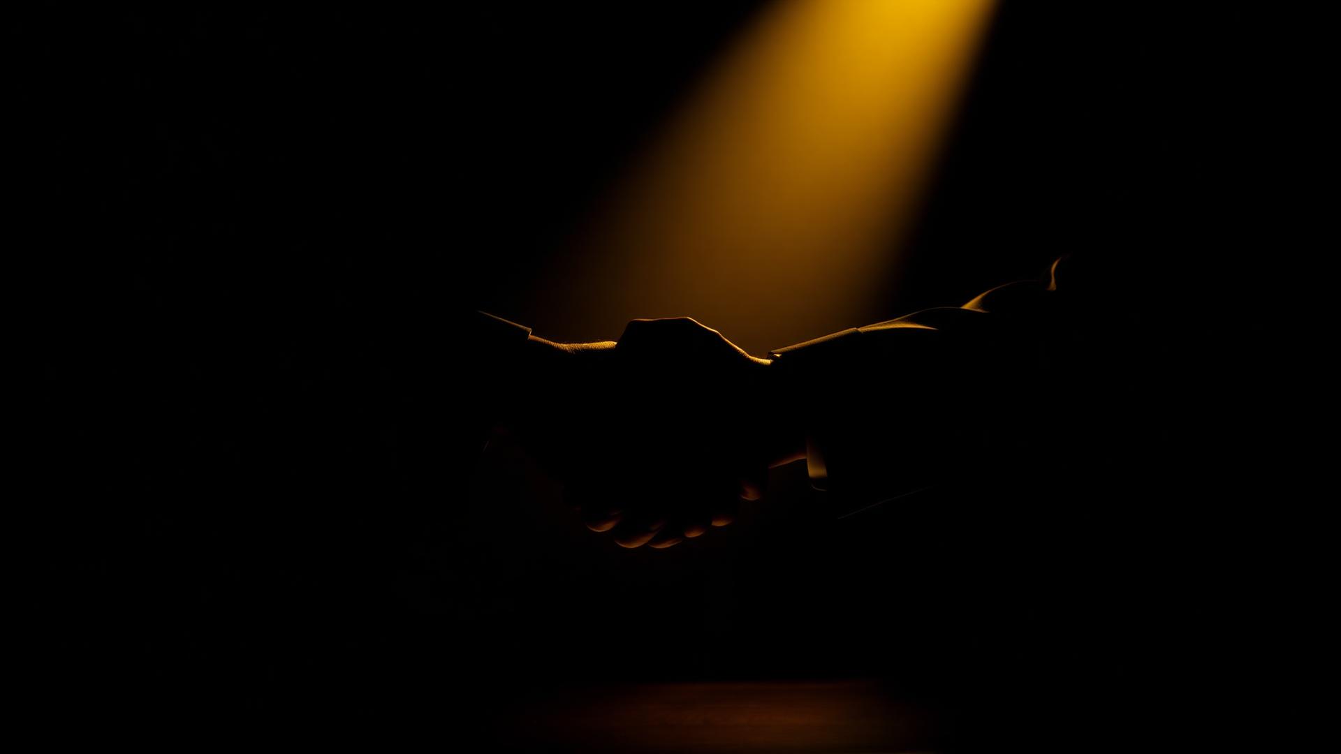 Executive handshake illuminated by golden spotlight symbolizing trust